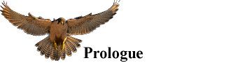 Falconer_Prologue