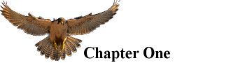 Falconer_Chapter_1