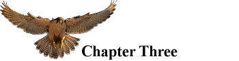 Falconer_Chapter_3