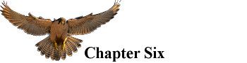 Falconer_Chapter_6