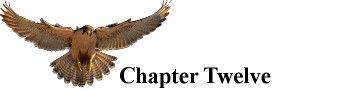 Falconer_Chapter_12