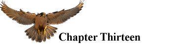 Falconer_Chapter_13