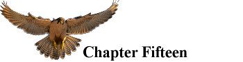 Falconer_Chapter_15