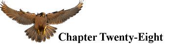 Falconer_Chapter_28