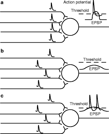 A978-1-60761-145-5_10_Fig4_HTML.gif