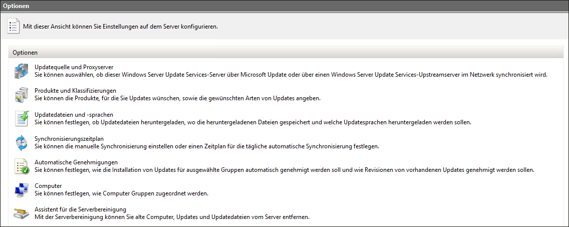 Optionen von WSUS-Server