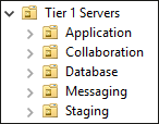 Struktur unterhalb von »Tier 1 Servers«