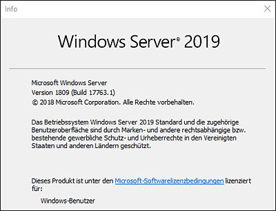 Versionsinformationen des ursprünglich veröffentlichten Windows Server 2019