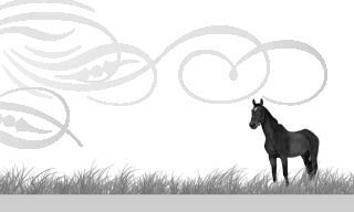 Chapter intro image of a horse