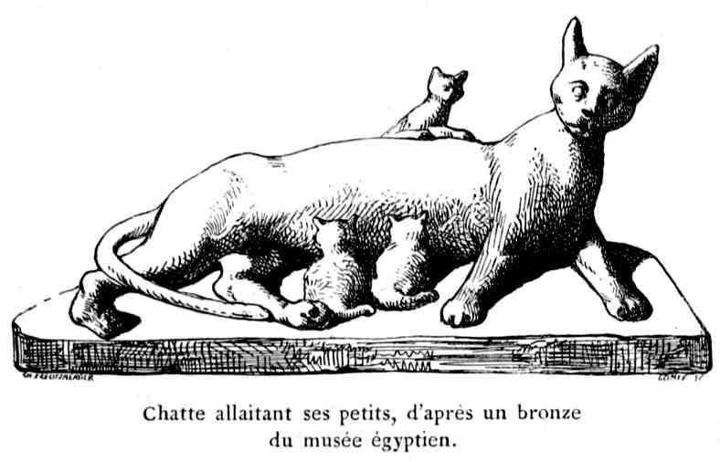 Chatte allaitant ses petits, d'après un bronze du musée égyptien.