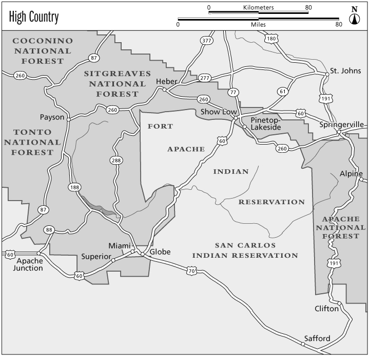 260 77 260 260 260 377 277 288 188 61 87 88 87 191 70 191 60 60 60 60 180 Show Low Springerville A PAC H E F O R E S T Alpine COCONINO NATIONAL FOREST TONTO NATIONAL FOREST NAT I O NA L SAN CARLOS INDIAN RESERVATION SITGREAVES NATIONAL FOREST FORT INDIAN APACHE RESERVATION Payson Apache Junction Miami Heber Clifton Safford St. Johns Pinetop- Lakeside Superior Globe 0 80 0 80 Kilometers Miles High Country