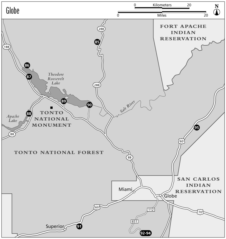 86 92-94 87 88 89 90 85 95 91 112 651 188 88 88 288 288 60 60 70 Theodore Roosevelt Lake Apache Lake Salt River TONTO NATIONAL FOREST FORT APACHE INDIAN RESERVATION SAN CARLOS INDIAN RESERVATION TONTO NATIONAL MONUMENT Superior Miami Globe 0 20 0 20 Kilometers Miles Globe