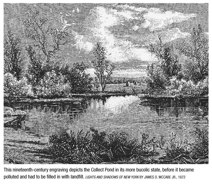 This nineteenth-century engraving depicts the Collect Pond in its more bucolic state, before it became polluted and had to be filled in with landfill. LIGHTS AND SHADOWS OF NEW YORK BY JAMES D. MCCABE JR., 1872