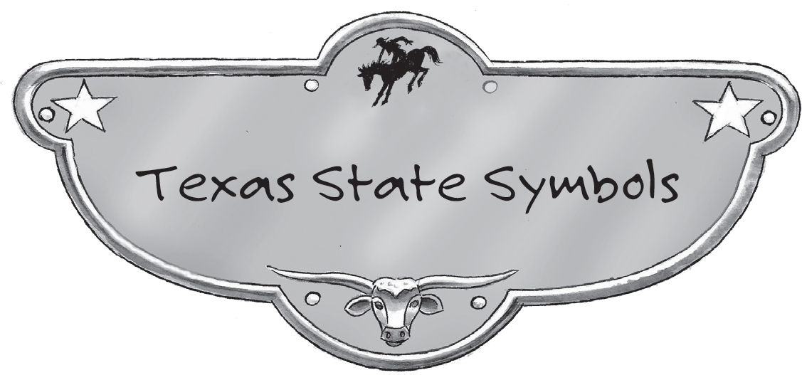 Texas State Symbols