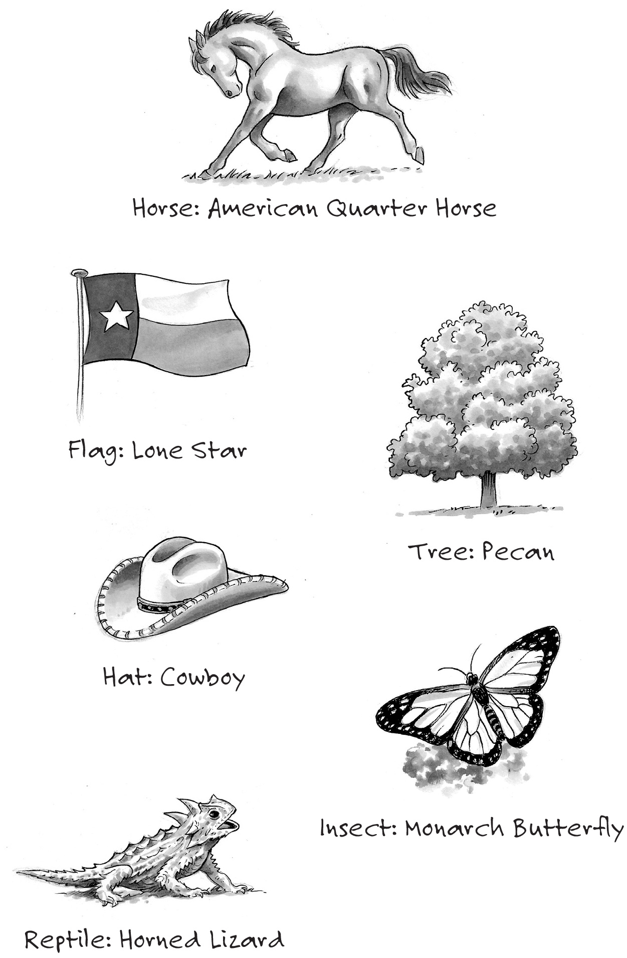 Horse: American Quarter Horse, Flag: Lone Star, Tree: Pecan, Hat: Cowboy, Insect: Monarch Butterfly, Reptile: Horned Lizard