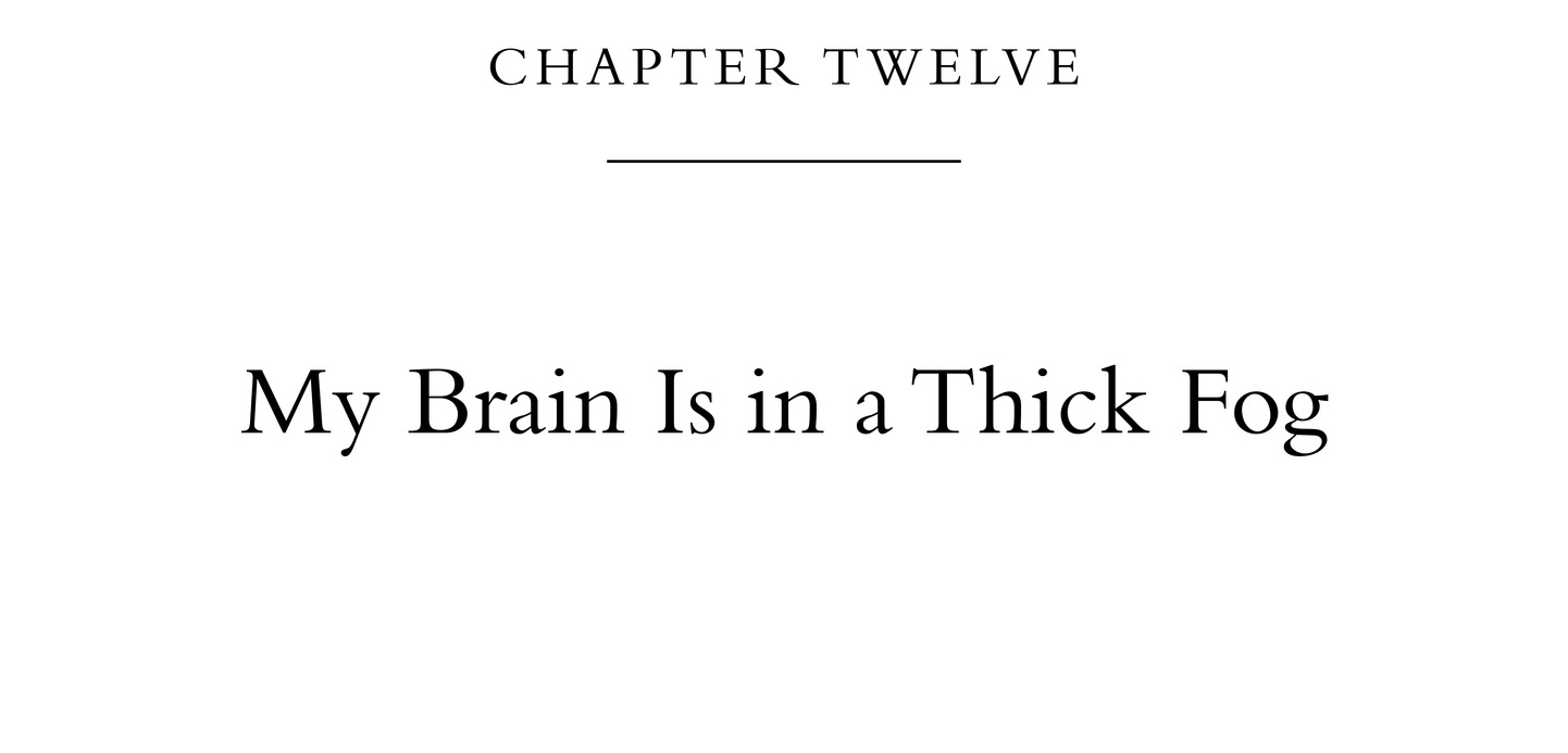 Chapter Twelve My Brain Is in a Thick Fog