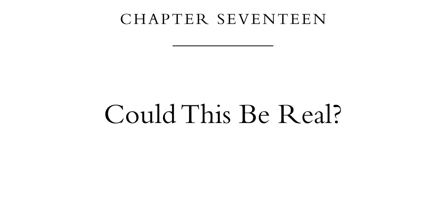 Chapter Seventeen Could This Be Real?