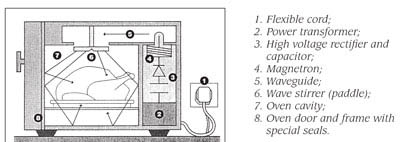 fig2.jpg