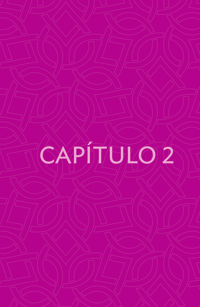 Capítulo 2