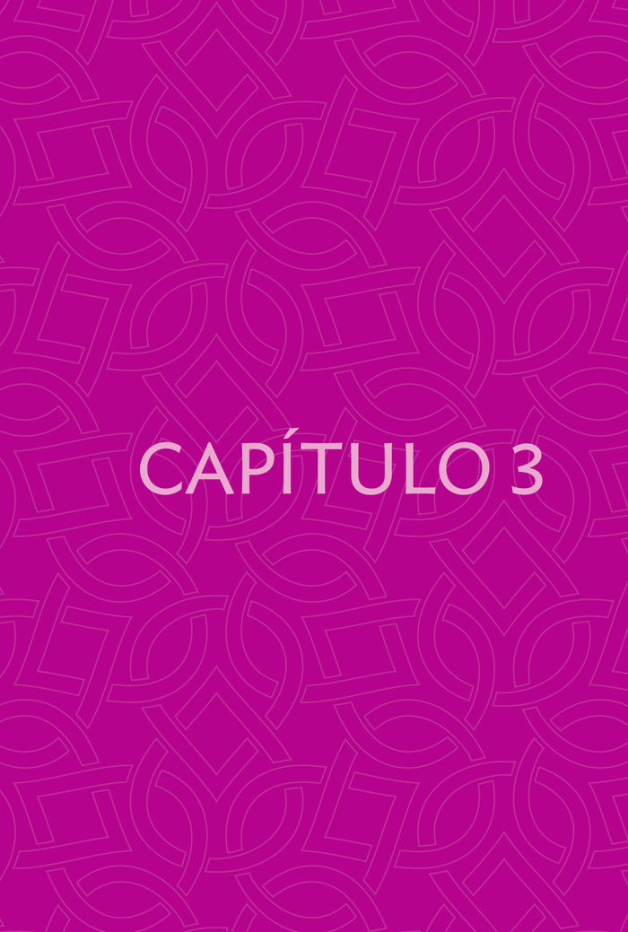 Capítulo 3