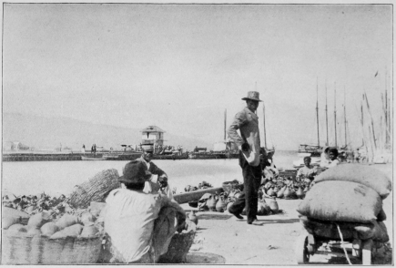 Copyright, 1901, by Detroit Photographic Co. Waiting for Customers Port-au-Prince, Haïti