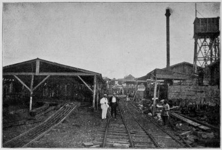 A Mill for Sawing Mahogany Haïti