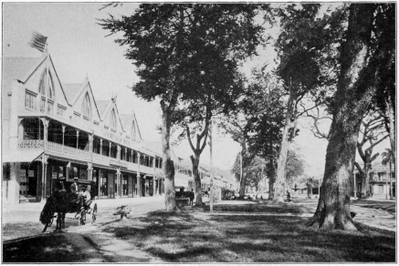 The Business Section Port of Spain, Trinidad Copyright, 1901, by Detroit Photographic Co.