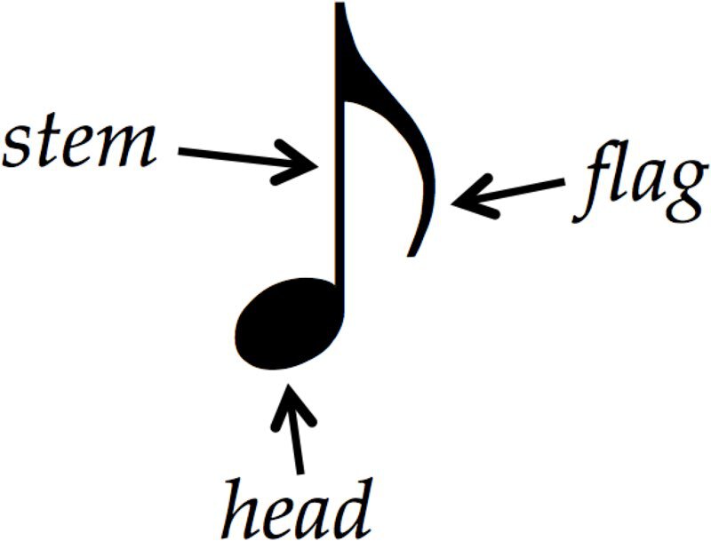 The written note consists of up to 3 parts: the head, the stem and the flag.