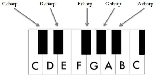 The 12 notes of the musical alphabet