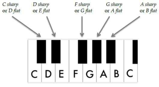 The names of all 12 keys of the musical alphabet