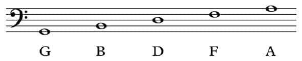 Bass clef notes on the lines