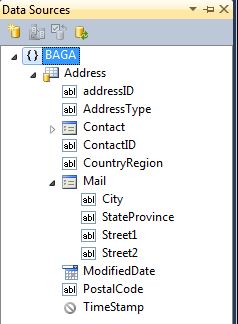 Windows Forms data source reading complex type properties such as the Mail property of Address