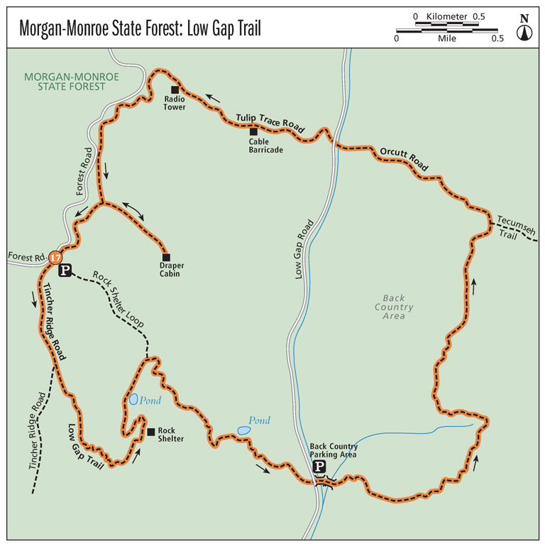 Morgan-Monroe State Forest: Low Gap Trail