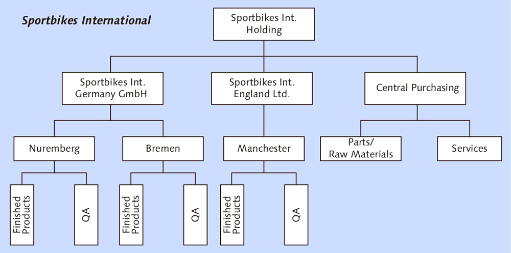 Example of an Enterprise Structure from the Logistics Perspective