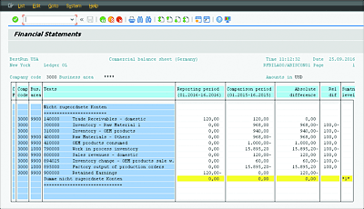 Financial Statements Report