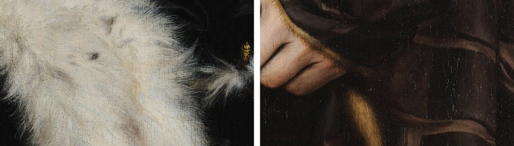 Images showing the relationship of fur and silk, by Hans Holbein the Younger, 'The Ambassadors'.