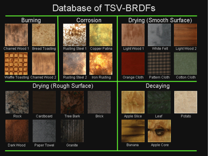 Illustration of TSV-BRDF database sample.  The database is composed of time-varying takes of different materials, natural and man-made ones.