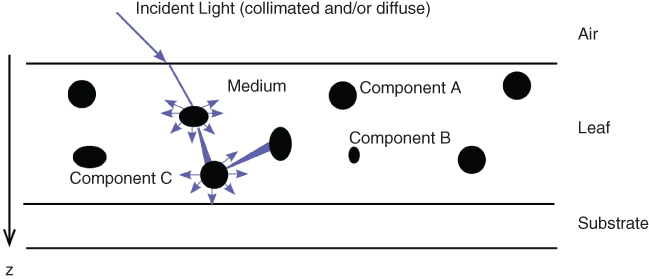 Schematic illustration of a medium on how light is reflected, transmitted and absorbed in different proportions.