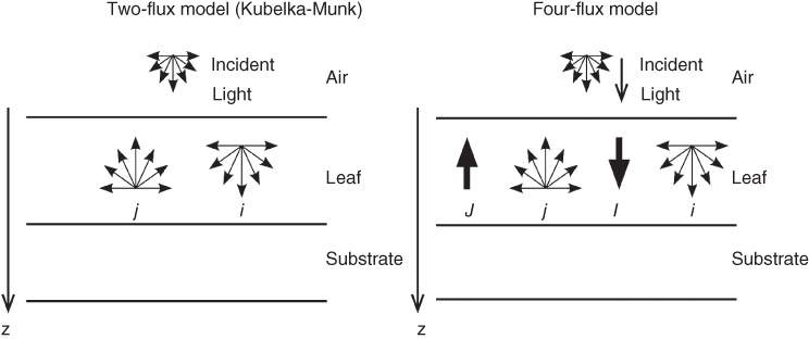 Schematic illustration showing the comparison between a two-flux model and a four-flux model.