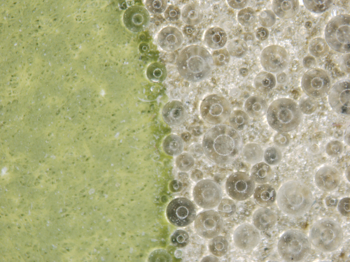 Image magnified to show different-sized glass micro beads attached to sections of wallpaper to create special effects.