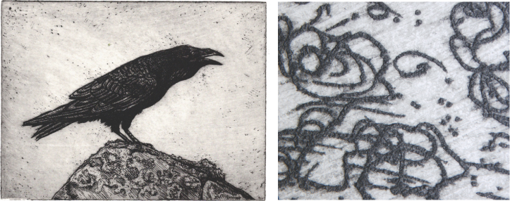 Picture of 'Owains Raven' (2005), etching by Louise King, and the detailed image on the right.