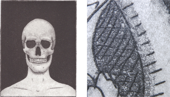 Picture of 'In my Head' (2015), etching and aquating by  Roxanne Goffin, and the detailed image on the right.