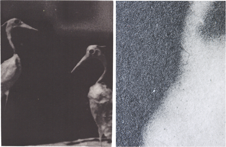 Image of 'Lear' (2001), intaglio flexograph by John Brennan, and the detailed image on the right.