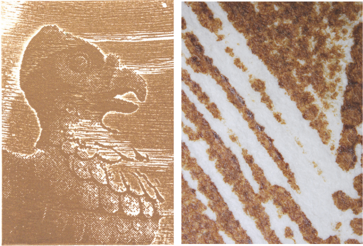 Image of 'Eagle' (2003), helio relief by Richard Anderton, and the detailed image on the right.