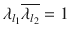 $$\lambda _{l_{1}}\overline{\lambda _{l_{2}}} = 1$$