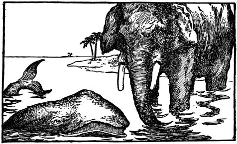 whale and elephant