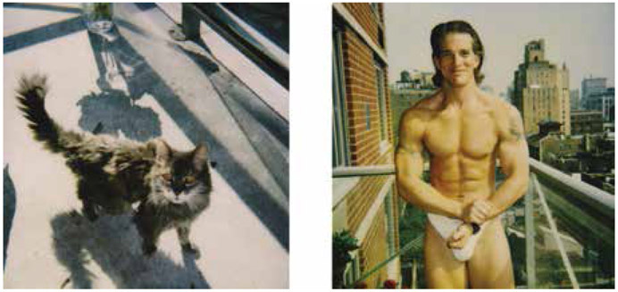 Polaroid collage of Foxy, the meanest 22 yr.-old cat in NY, and my sweet and adorable Brian Regnaert, 1994. (© Michael Alago)