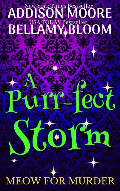 Purr-fect Storm