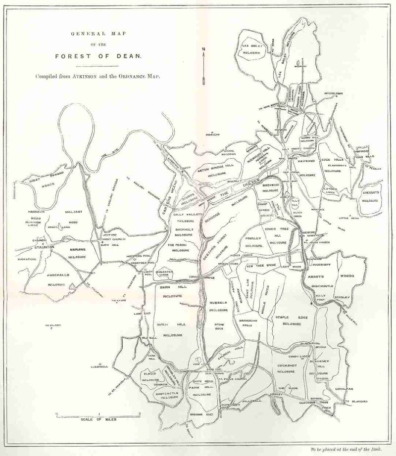 Map of the Forest