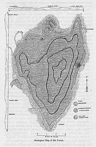 Geological Map of the Forest